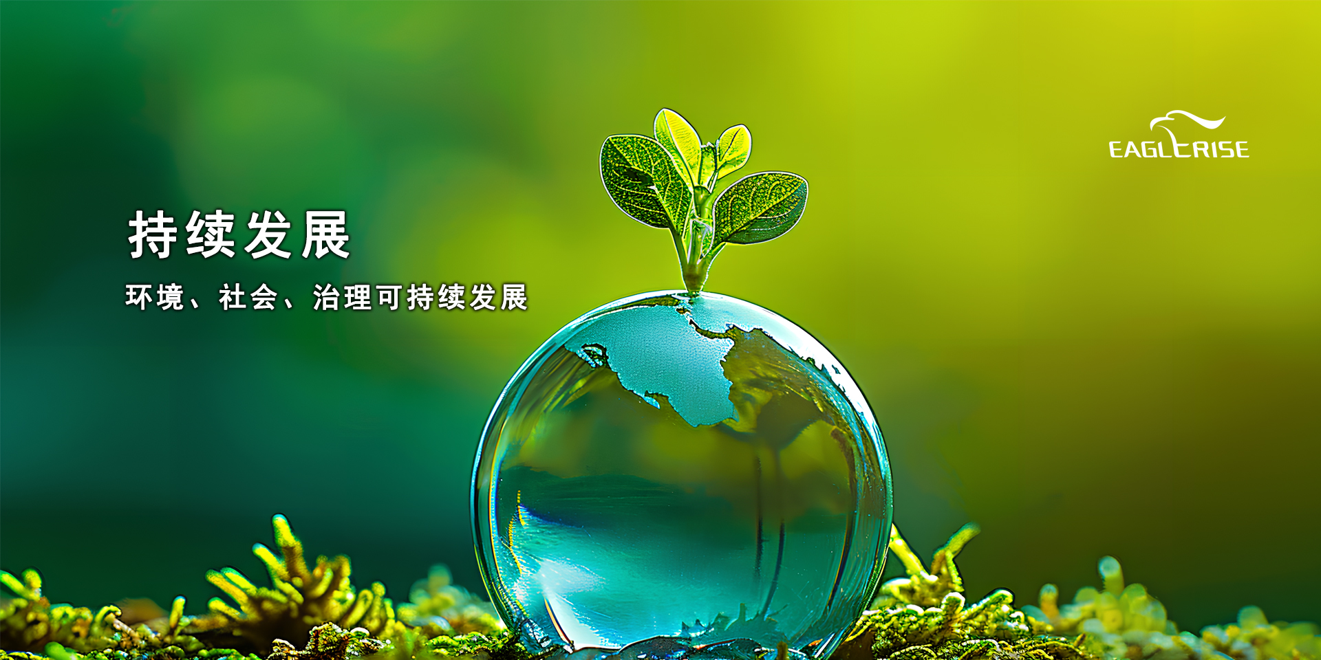 bjl平台·(中国)集团
